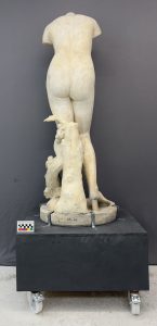 Back of Venus AT.